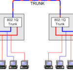 تعریف Trunk